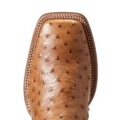 Ariat Men`s Quantum Primo Ranger FQ Ostrich 11` Beam Brown Top Square Toe Boots -Western Denim Store 10040281 4