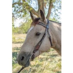 Circle Y Saddlery Dark Flash Arizona Flower Browband Headstall -Western Denim Store 1008 12 SC 3