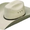 Atwood Hats Maverick Palm Leaf 5in. Brim Cowboy Hat -Western Denim Store 14065 default l