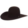 Rodeo King 10X Black Cherry 4 1/2in. Brim Self Band Open Crown Felt Cowboy Hat -Western Denim Store 148577 default l