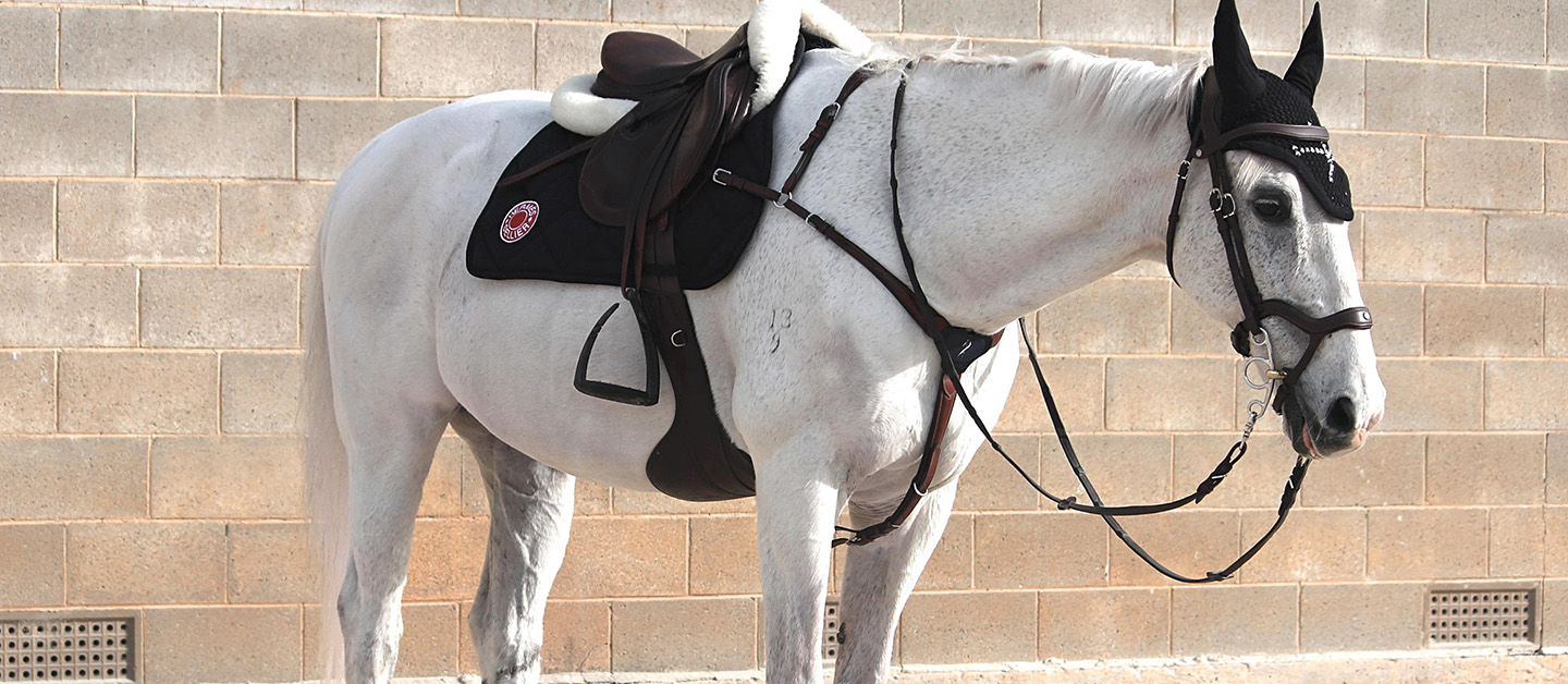 Western Denim Store 3 Western Denim Store -Western Denim Store 2