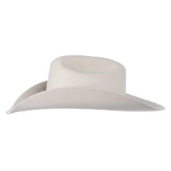 Ariat Bone 10X 4 1/4in. Brim Cattlemans Crease Felt Cowboy Hat -Western Denim Store A7640045 2