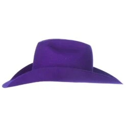 Rodeo King 7X Purple Self Band 4 1/4in. Brim Open Crown Felt Cowboy Hat -Western Denim Store RK457 5
